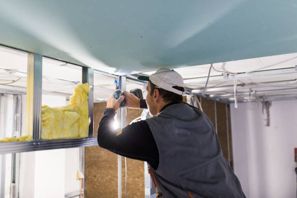 Best Garage Insulation Installation  in Ironwood, MI