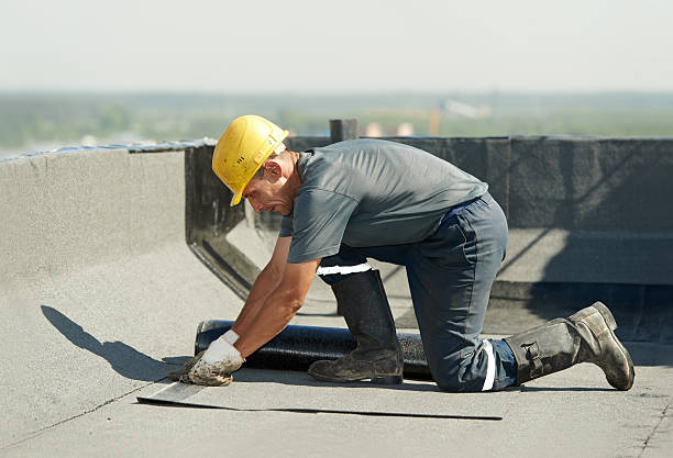 Best Professional Insulation Contractor  in Ironwood, MI